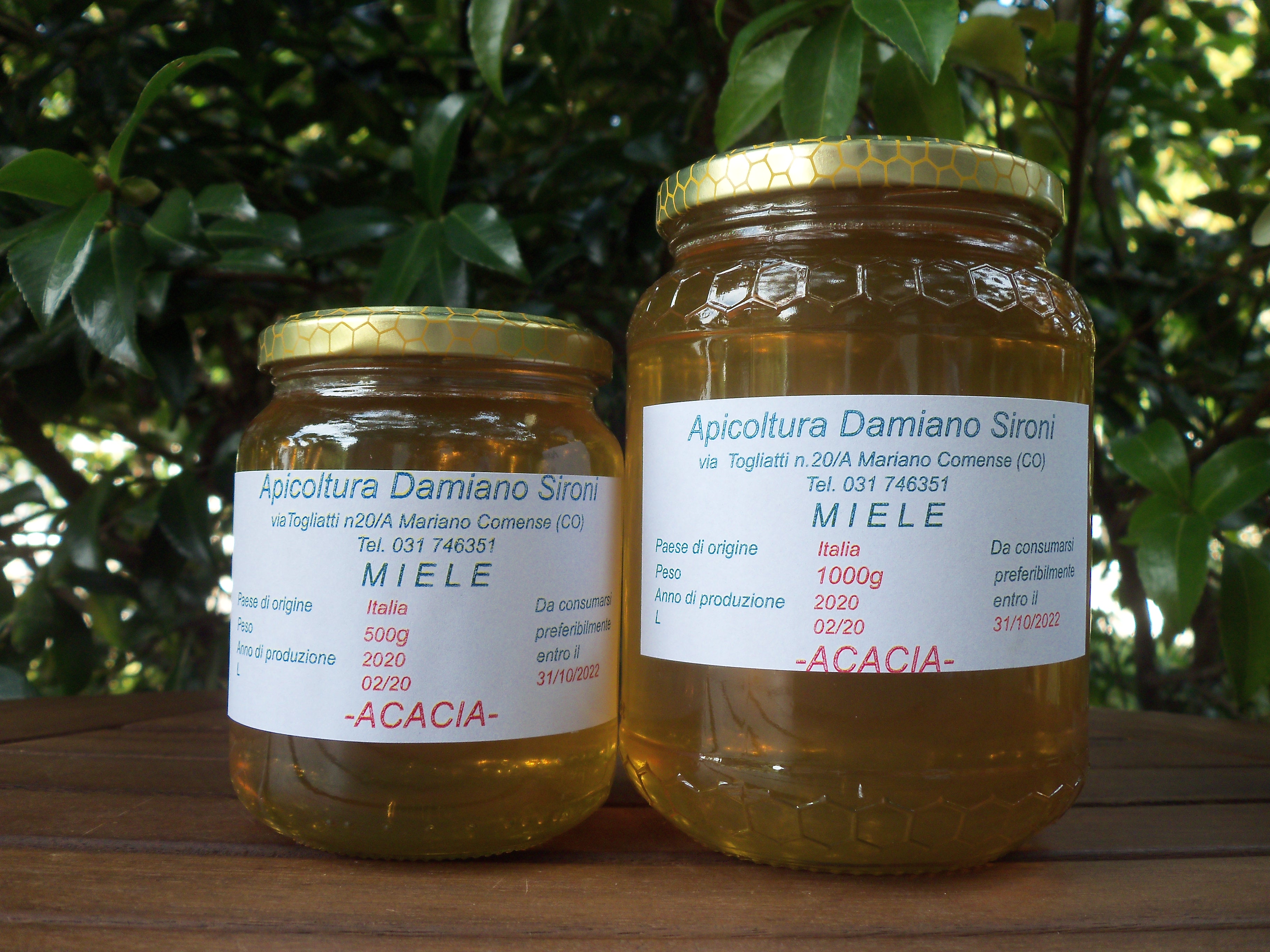 Miele di Acacia