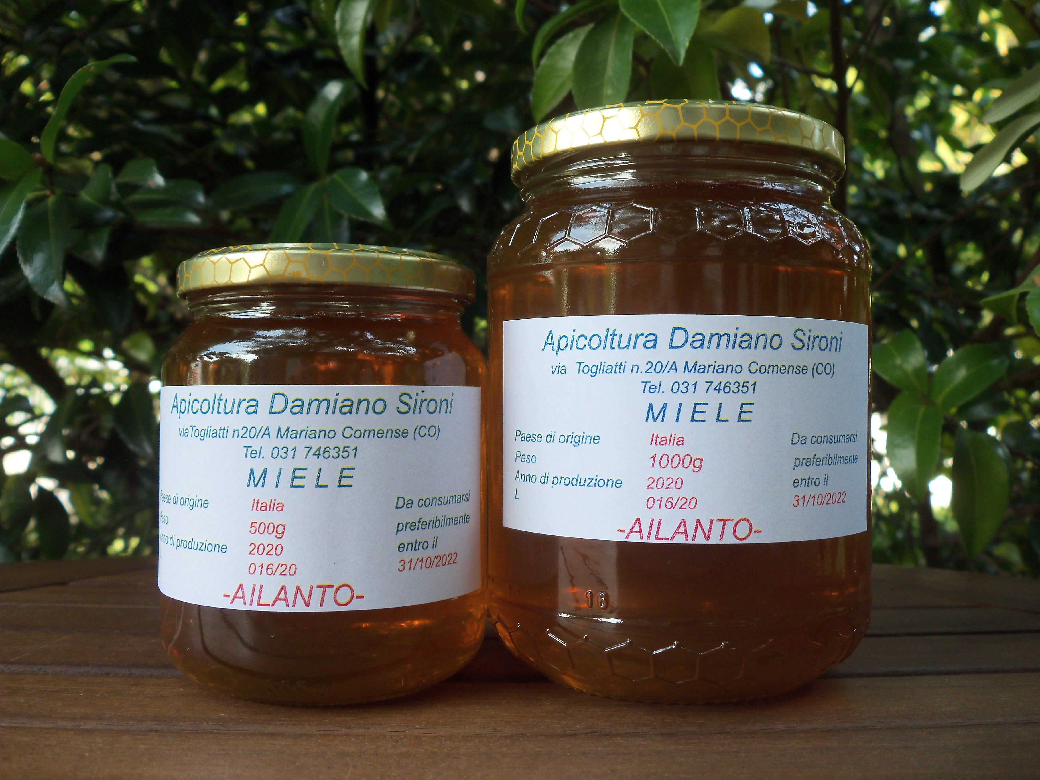 Miele di Ailanto