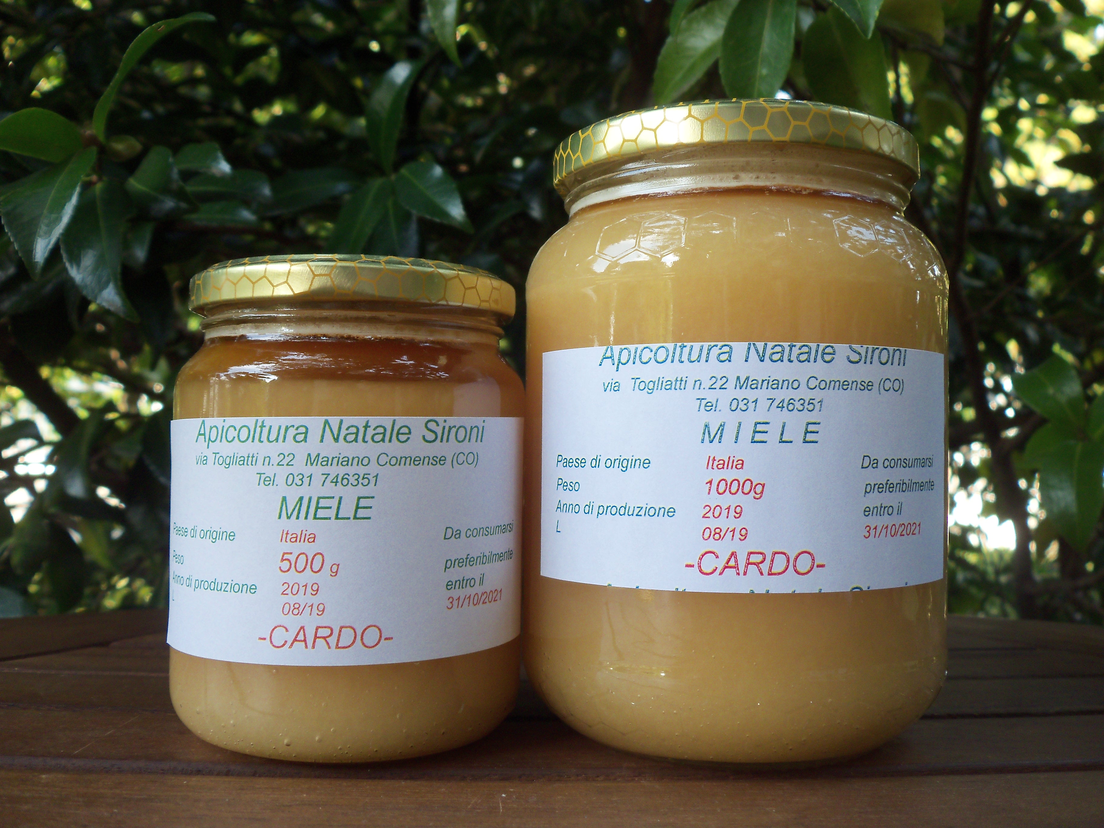 Miele di Cardo
