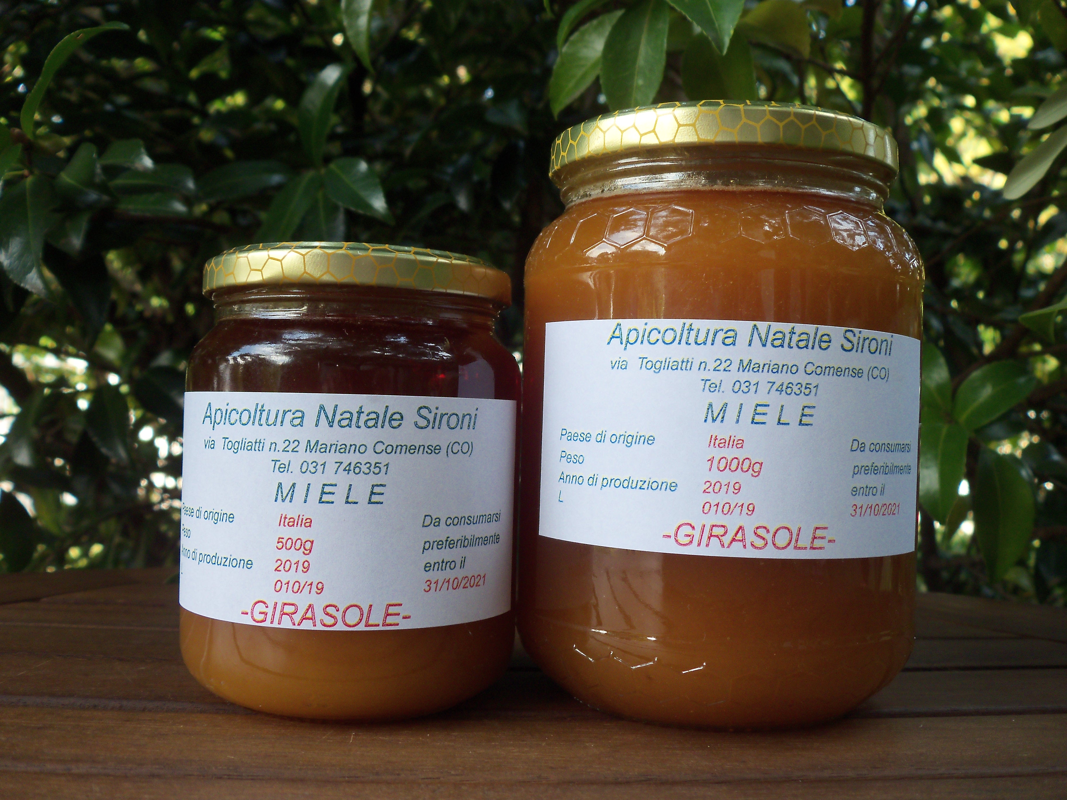 Miele di Girasole