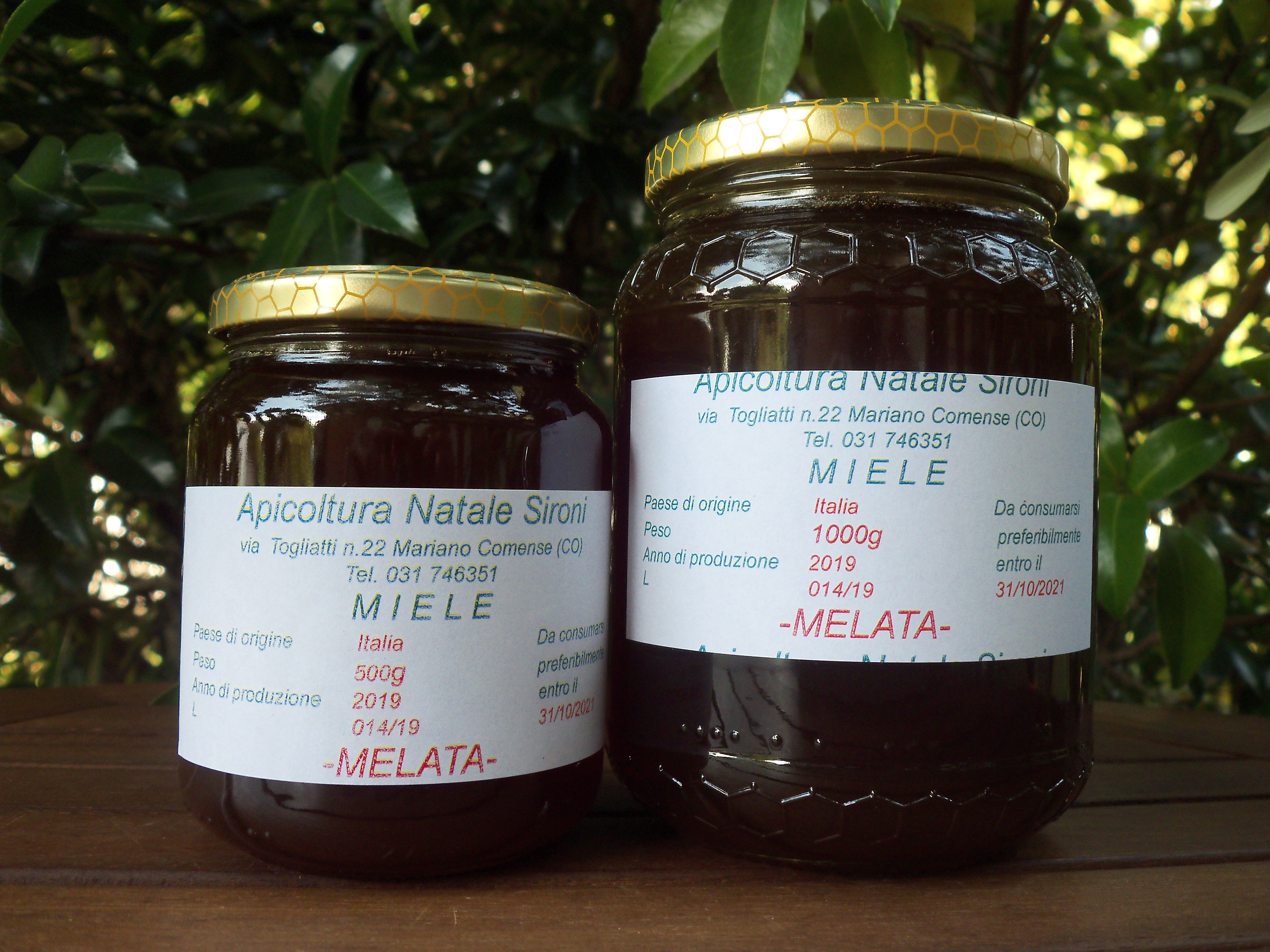 Miele di Melata